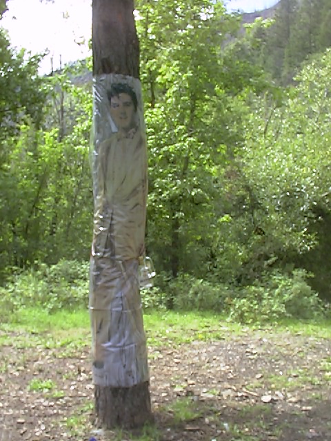 gollyadventure001.JPG