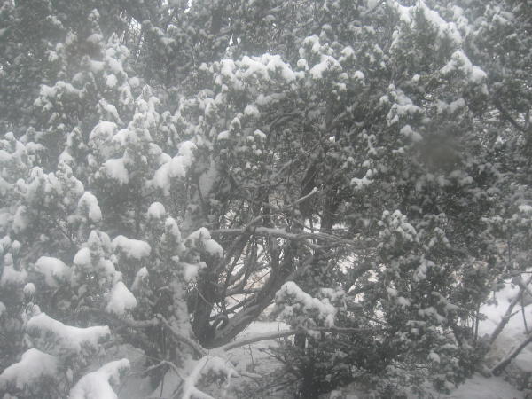 winternov2006.jpg