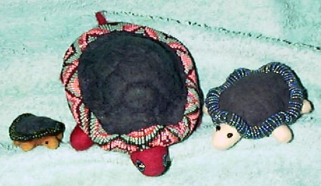 Turtlesetc013.JPG