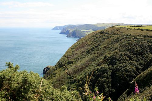 Heddonwalk8.jpg
