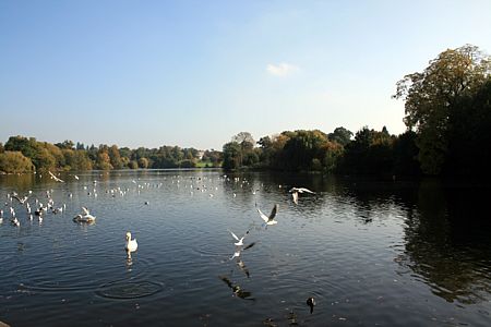 Lake3.jpg