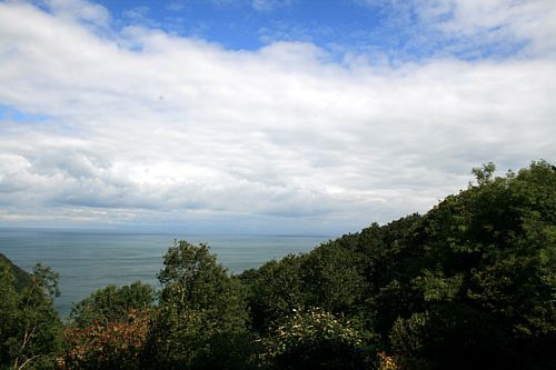 Viewfromwindow3.jpg