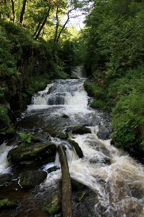 Watersmeet2.jpg