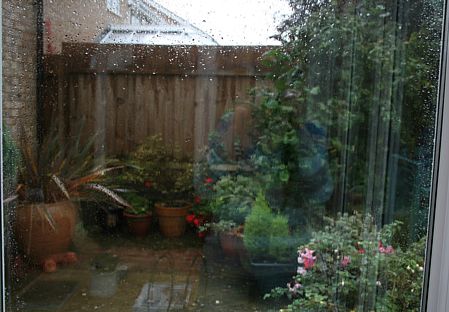rainyday2.jpg