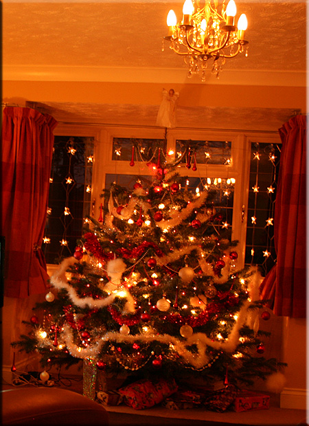 xmas08tree07.jpg