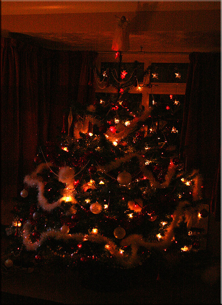 xmastree085.jpg