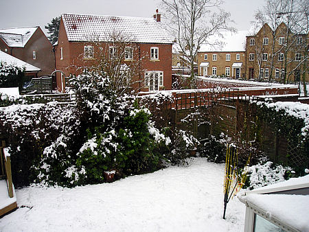 View-from-back-of-house-Feb-8th-2007.jpg