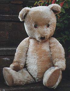 biggestbear.jpg