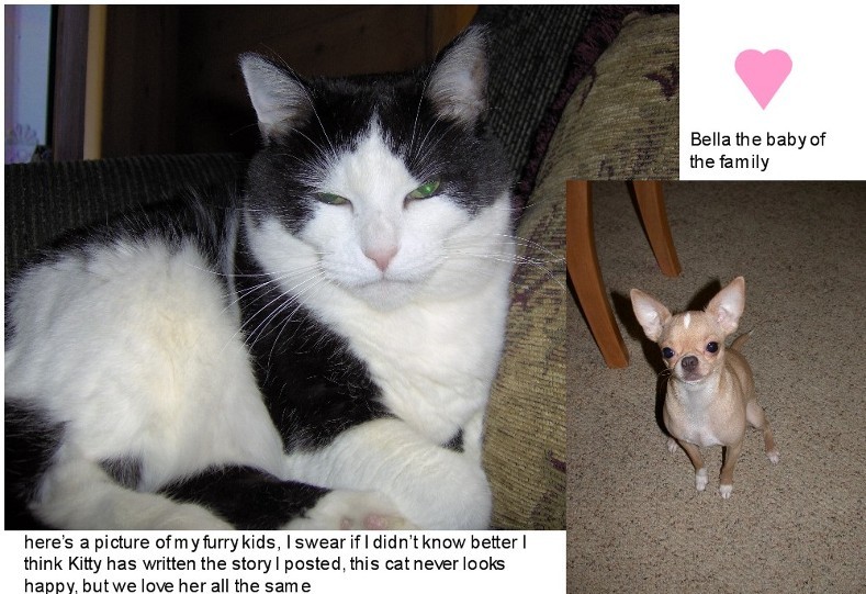 0pets.jpg