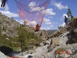 unknown5.jpg