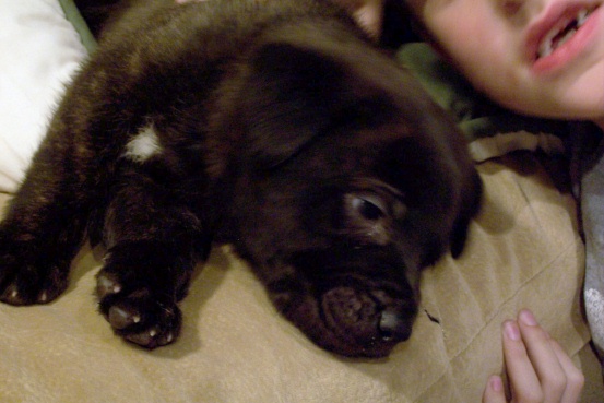 Otis5weeks.jpg
