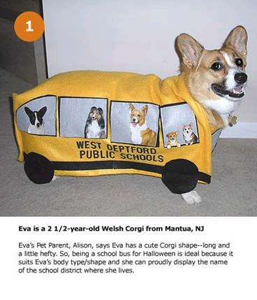 hpets1.jpg