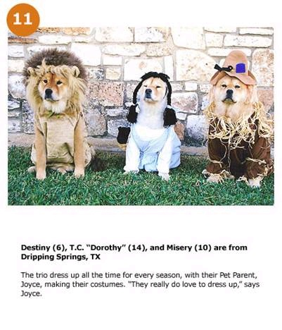 hpets11_.jpg