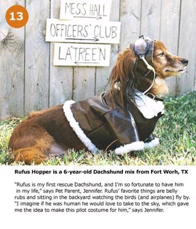 hpets13_.jpg