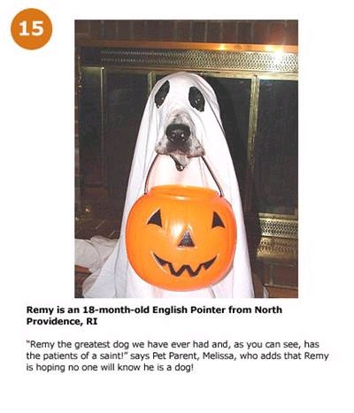 hpets15_.jpg