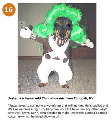hpets16_.jpg