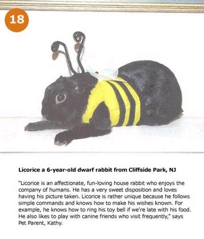 hpets18_.jpg