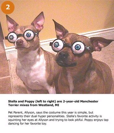 hpets2.jpg