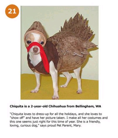 hpets21_.jpg