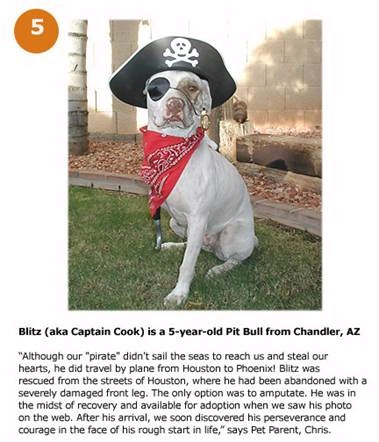 hpets5.jpg