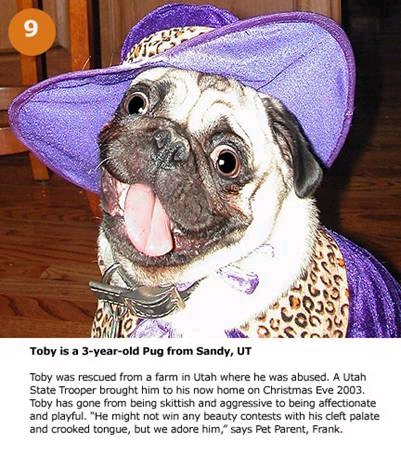 hpets9_.jpg