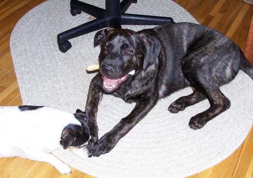 otis5months1.jpg