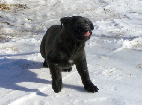 otis7wks.jpg