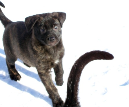 otis7wks2.jpg