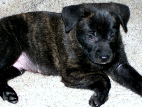 otis7wks3.jpg