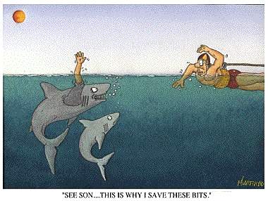 shark-cartoon.jpg