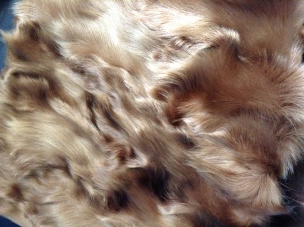 1366038956_goat_coat_fur.jpg