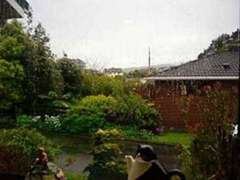 Weather-015.jpg