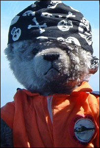 _40121728_teddy203.jpg