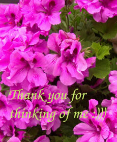 thanx.jpg