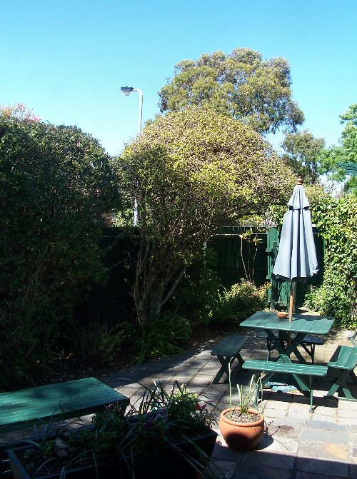 courtyard.jpg