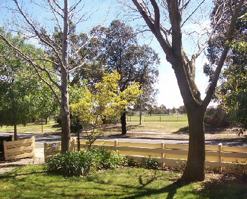 park.jpg