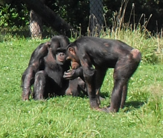 2HananyasGroup09.jpg