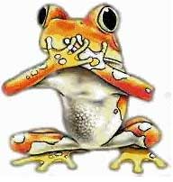 Afrog.jpg
