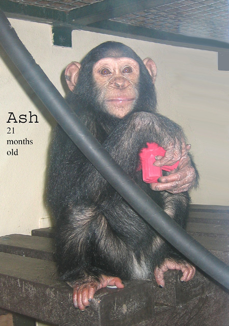 BabyAsh.jpg