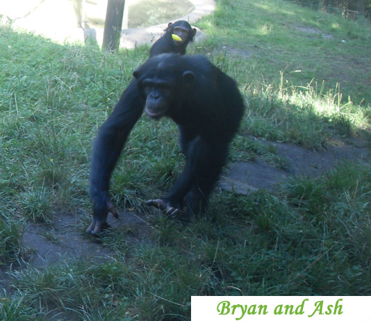 Brian-Ash09.jpg