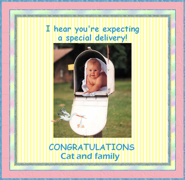 CatNewBaby07.jpg