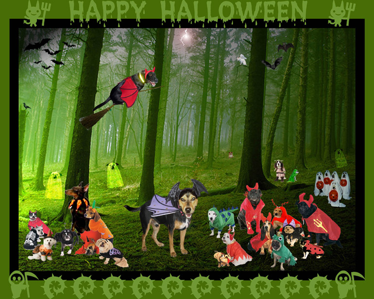 Halloween_PICTURE_2008.jpg