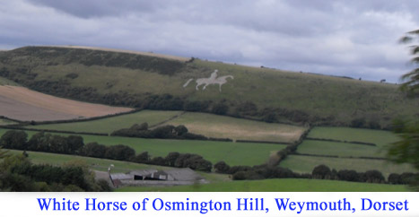 Horse09.jpg