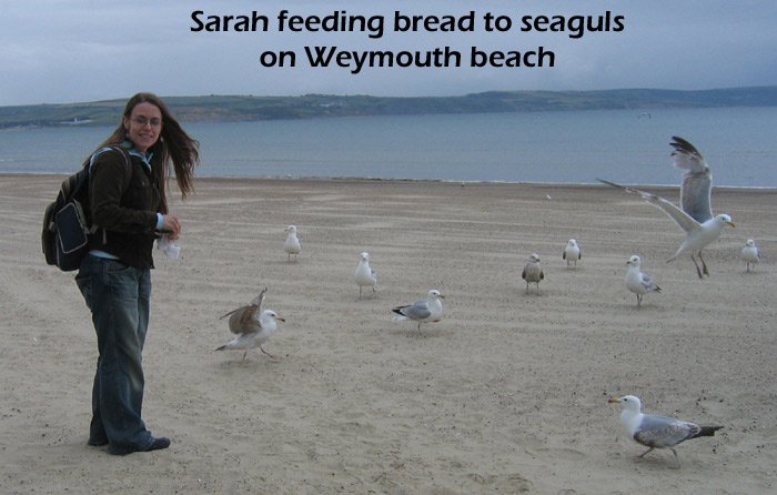 Sarah-seagulls.jpg