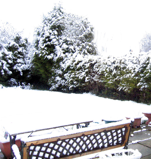 TTsnow08.jpg