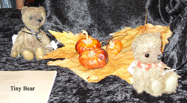 TinyBear-2-2008.jpg
