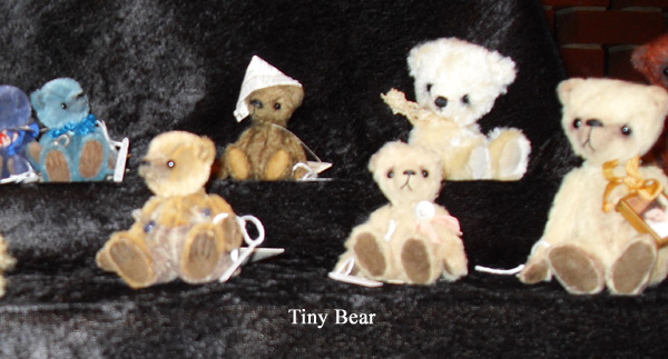TinyBear2-2008.jpg