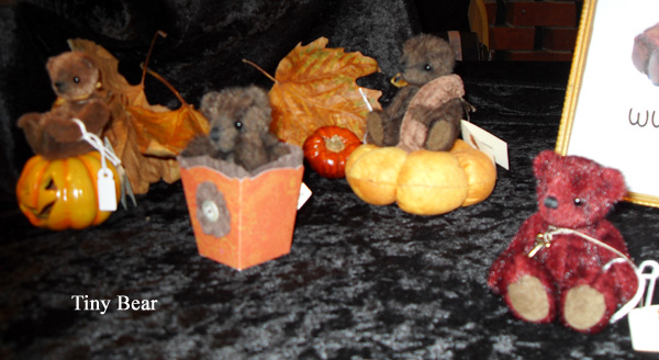 TinyBear2008.jpg