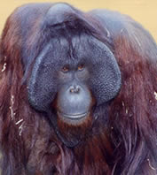 Tuan5.jpg