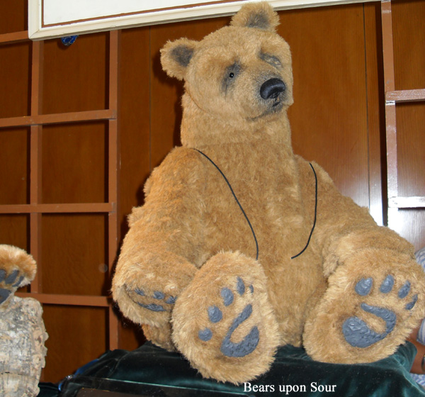 bearsuponsoar-2-2008.jpg